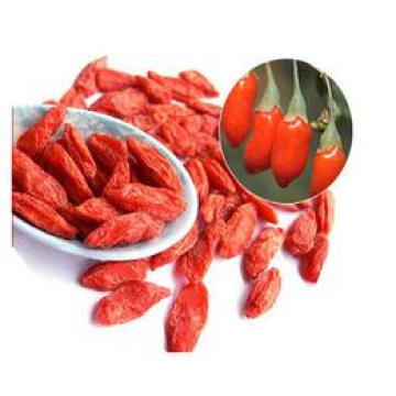 Super Quality Goji Berry, Low-Pesticide Goji Berry, Organic Goji Berry Fruit